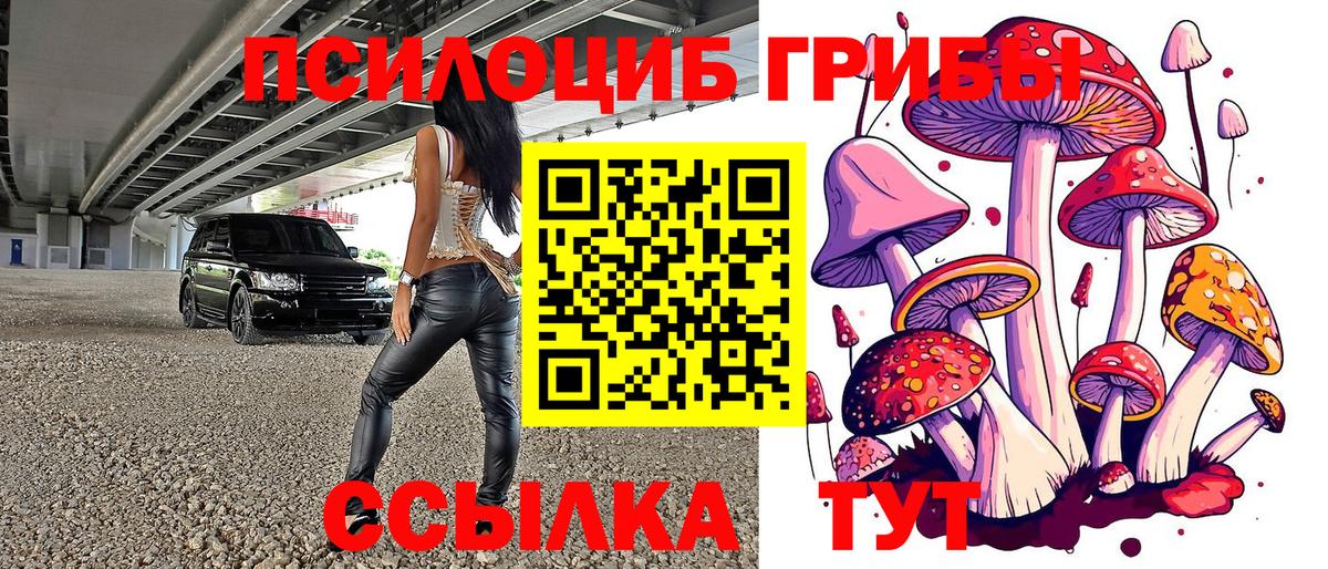 Галлюциногенные грибы MAGIC MUSHROOMS  Галлюциногенные грибы мухоморы  Изобильный  Вход с VPN 